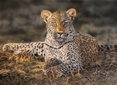 Painting titled "Twilight Leopard" by Julian Wheat, Original Artwork, Acrylic