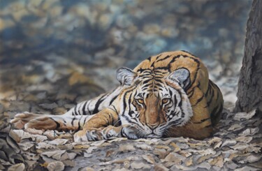 제목이 "Woodland Tiger"인 미술작품 Julian Wheat로, 원작, 아크릴