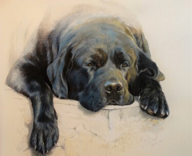 Benji Painting titled "Benji" by Julian Wheat, Original Artwork, Acrylic