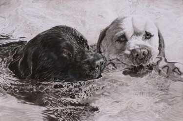 Best pals,labradors swimming Drawing titled "Best pals,labradors…" by Julian Wheat, Original Artwork, Graphite