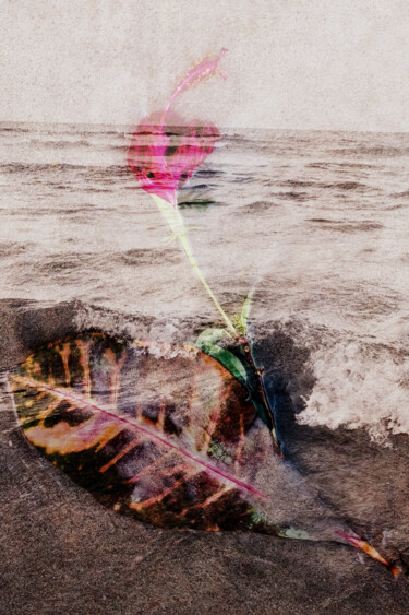 Fotografía titulada "Flower Sea" por Juliana Vasquez, Obra de arte original, Fotografía digital