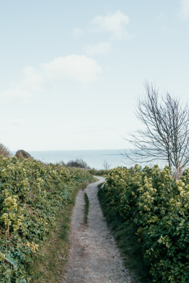 Фотография под названием "Cromer Norfolk #1" - Juliana Vasquez, Подлинное произведение искусства, Цифровая фотография