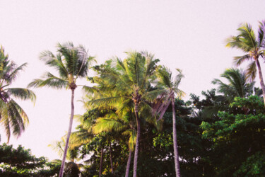 Fotografia intitulada "Coconut beach, Braz…" por Juliana Vasquez, Obras de arte originais, Fotografia digital