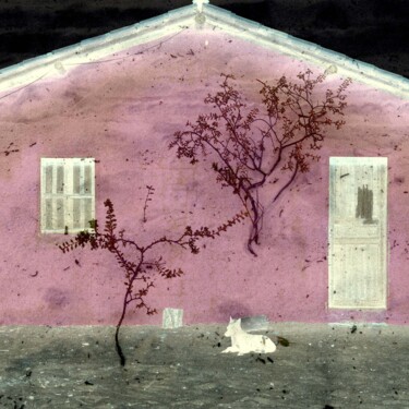 Photography titled "House and Dog, Cara…" by Juliana Vasquez, Original Artwork, Manipulated Photography