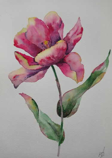 Peinture intitulée "Tulip" par Juliaresha, Œuvre d'art originale, Aquarelle