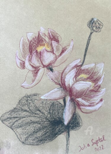 Zeichnungen mit dem Titel "Lotus étude" von Julia Suptel, Original-Kunstwerk, Pastell