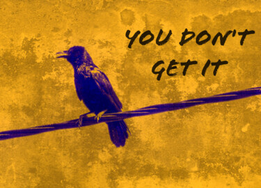 Photography titled "You don't get it" by Julie Dratwiak, Original Artwork