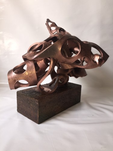 Sculpture titled "carcasse" by Julien Iglesias, Original Artwork, Wood