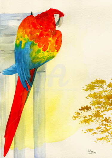 Painting titled "Araracanga" by Julien Cachemaille, Original Artwork, Watercolor