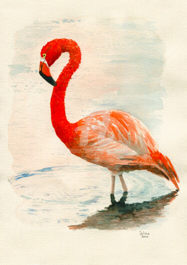 Painting titled "Flamingo" by Julien Cachemaille, Original Artwork, Watercolor