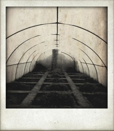 Photography titled "Edmond's Greenhouse…" by Jun-Jun Sta. Ana, Original Artwork