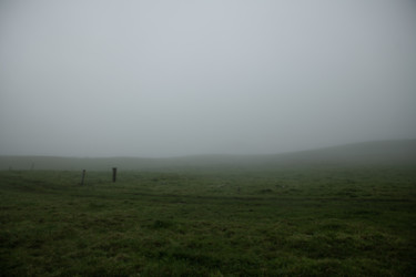 Фотография под названием "Foggy field" - Jure Kralj, Подлинное произведение искусства, Цифровая фотография