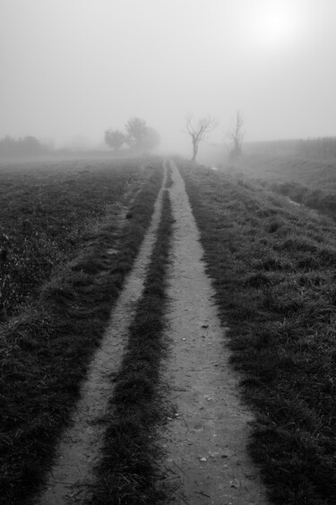 Fotografia zatytułowany „Path” autorstwa Jure Kralj, Oryginalna praca, Fotografia cyfrowa