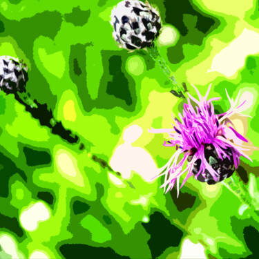 Digitale Kunst mit dem Titel "Flockenblume" von Jürg Strässle, Original-Kunstwerk, 2D digitale Arbeit