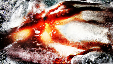 Photography titled "Pulpo" by Jürgen Haffa (creator), Original Artwork, Digital Photography Mounted on Aluminium