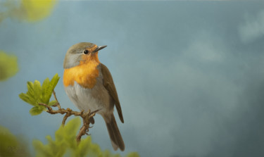 Картина под названием "Roodborstje (Robin)" - Jurjen Rolf, Подлинное произведение искусства, Масло Установлен на Деревянная…