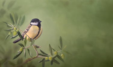 Pintura intitulada "Koolmees (Coal tit)" por Jurjen Rolf, Obras de arte originais, Óleo Montado em Painel de madeira