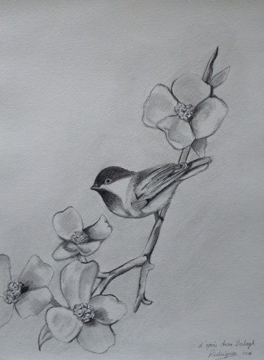 Drawing titled "Mésange boréale" by Justine Rodriguez, Original Artwork, Pencil