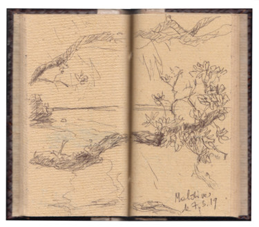 Drawing titled "Maldives, arbre et…" by Philippe Juttens, Original Artwork, Ballpoint pen