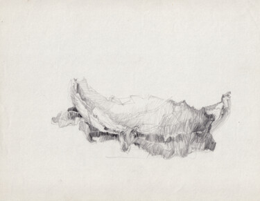 Dibujo titulada "Feuille de choux" por Philippe Juttens, Obra de arte original, Lápiz