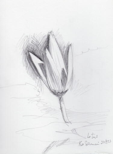 Dibujo titulada "Fleur de lotus, Kho…" por Philippe Juttens, Obra de arte original, Lápiz