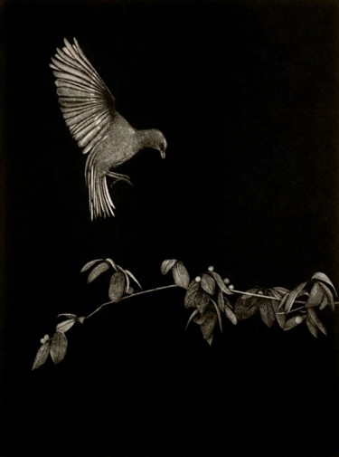 Vol de nuit Gravures & estampes intitulée "Vol de nuit" par Johannes Vandenhoeck, Œuvre d'art originale, Gravure