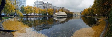 Photography titled "Листья на воде." by Juri Nazarov, Original Artwork