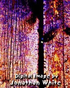 Digital Arts titled "Burned Wood Glowing…" by Jonathan White, Original Artwork