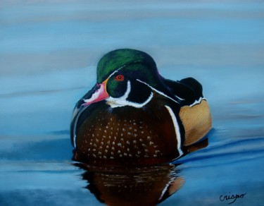 Malarstwo zatytułowany „Woodduck” autorstwa Jean Yves Crispo, Oryginalna praca, Olej