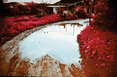 "Day at the ranch" başlıklı Fotoğraf Ken Overman tarafından, Orijinal sanat, Fotoşoplu fotoğrafçılık