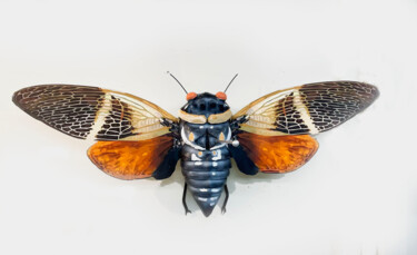 Скульптура под названием "Cicada 2" - Ken Overman, Подлинное произведение искусства, Пластмасса
