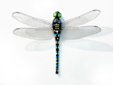 Sculpture intitulée "Dragonfly2" par Ken Overman, Œuvre d'art originale, Plastique