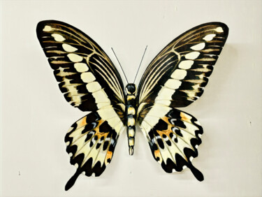 Skulptur mit dem Titel "Papilio Gigon" von Ken Overman, Original-Kunstwerk, Kunststoff Auf Plexiglas montiert