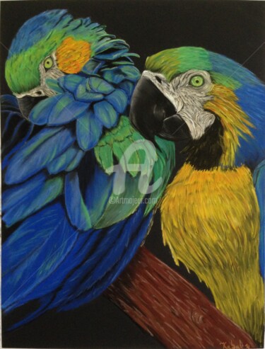 Drawing titled "Couple de peroquets" by Kabal 14, Original Artwork, Pastel