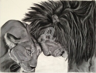 Drawing titled "Couple de lions" by Kabal 14, Original Artwork, Pastel