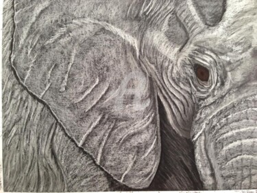 Drawing titled "Elephantude" by Kabal 14, Original Artwork, Pastel