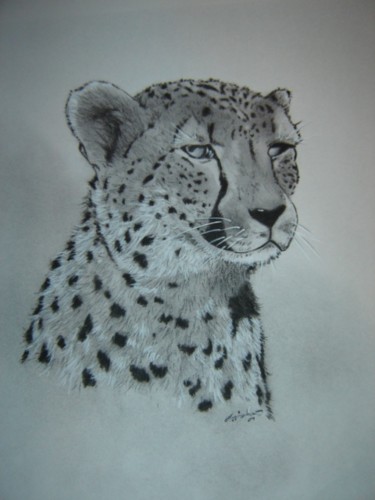 Drawing titled "Cheetah" by Chance Kaiden, Original Artwork