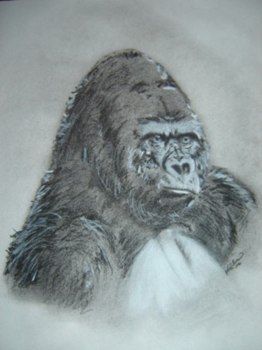 Drawing titled "Silverback" by Chance Kaiden, Original Artwork