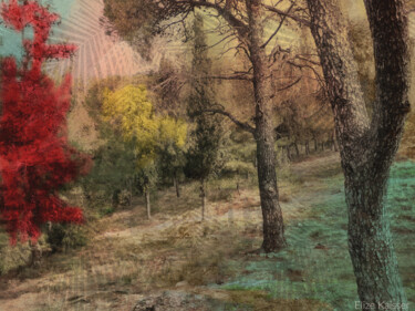 Fotografia zatytułowany „Magnicism Forest up…” autorstwa Elize Kaisser, Oryginalna praca, Fotografia cyfrowa