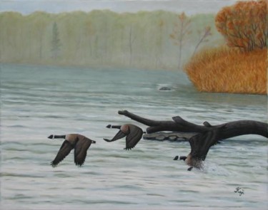 Schilderij getiteld "Canada Geese" door Kaji, Origineel Kunstwerk, Olie
