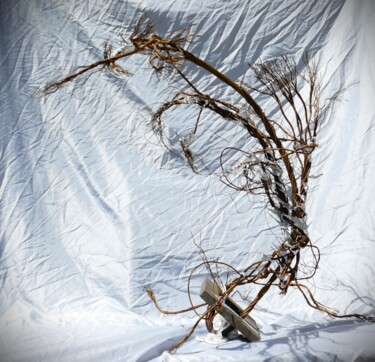 Escultura titulada "Ice Tree" por Kalizae, Obra de arte original, Aluminio
