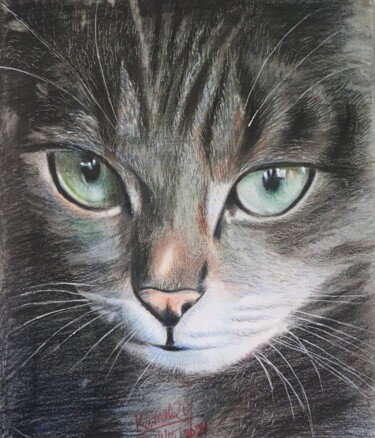 Рисунок под названием "CAT CAT mane Billi" - Kamal Raj Thakur Utsav Thakur, Подлинное произведение искусства, Карандаш