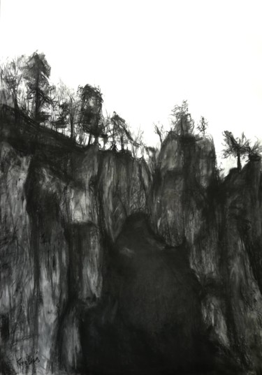 Рисунок под названием "obraz węglem" - Kamila Kretus, Подлинное произведение искусства, Древесный уголь