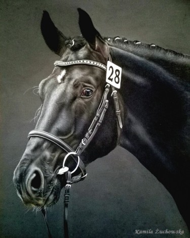 Dessin intitulée "Silesian stallion 2" par Kamila Żuchowska, Œuvre d'art originale, Pastel