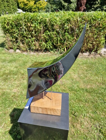 Sculpture titled "Scorpio" by Kamil Zaitz, Original Artwork, Stainless Steel