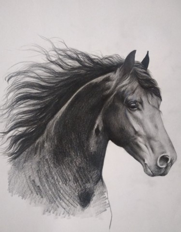 Tekening getiteld "Black Horse" door Kanat Mks, Origineel Kunstwerk, Houtskool