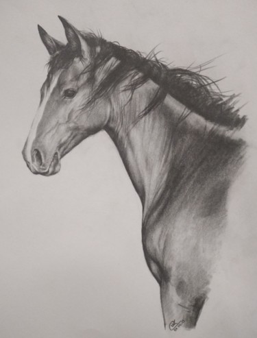 Dibujo titulada "Horse head pencildr…" por Kanat Mks, Obra de arte original, Lápiz
