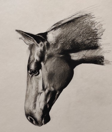 Dessin intitulée "Horse head charcoal…" par Kanat Mks, Œuvre d'art originale, Fusain