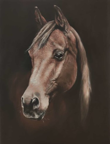 Dibujo titulada "Brown Horse head" por Kanat Mks, Obra de arte original, Acrílico