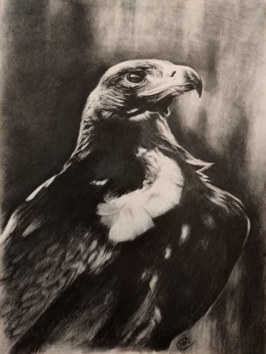 Drawing titled "Golden eagle" by Kanat Mks, Original Artwork, Pencil